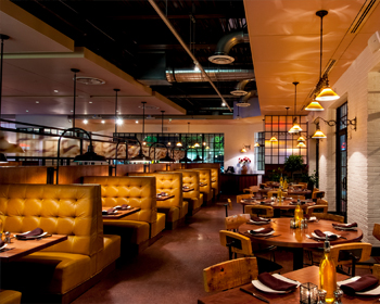 Casual Restaurant Franchise India